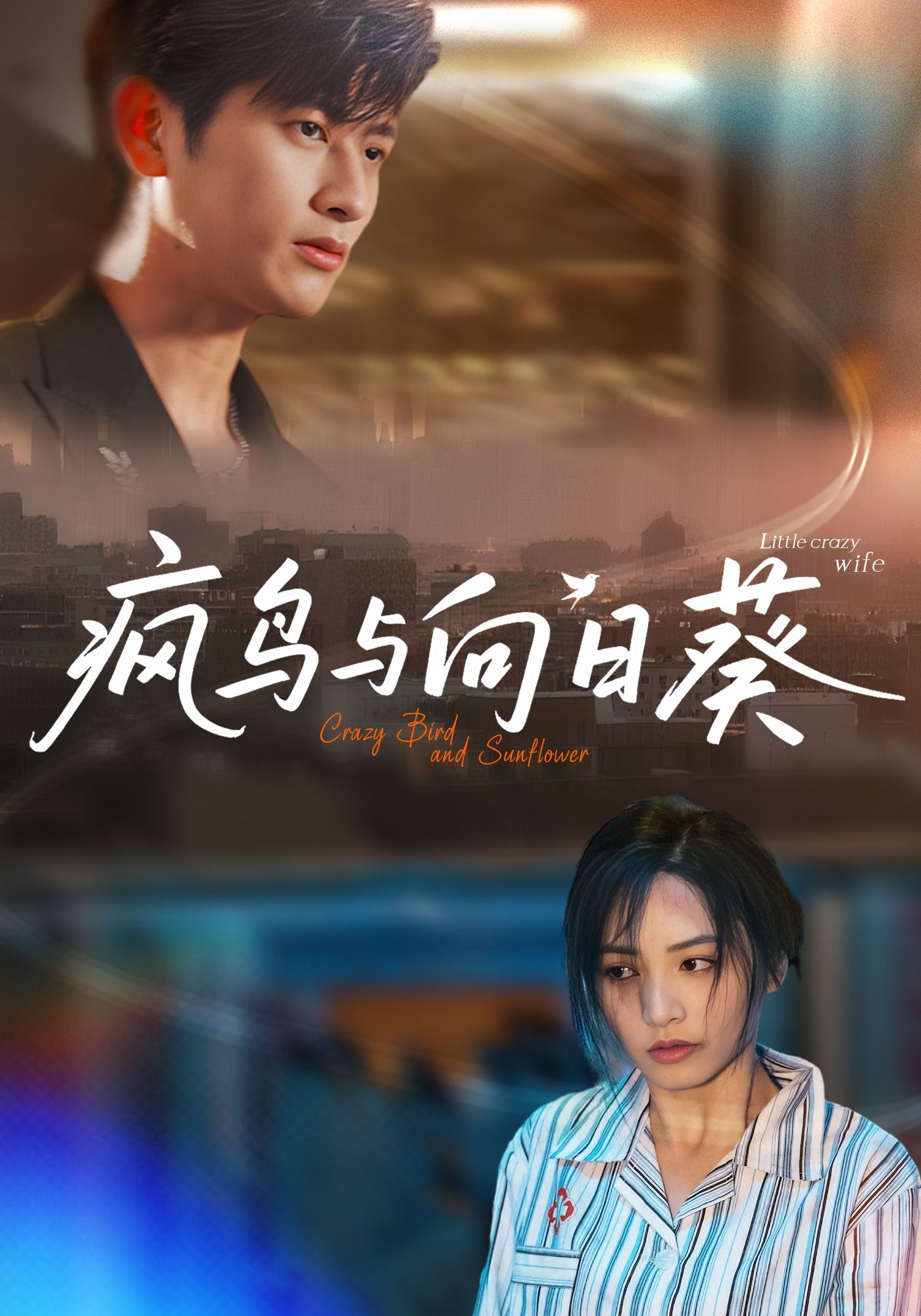 疯鸟与向日葵40集全集未删减版,韩叙李虹艺主演,免费在线观看,百度夸克网盘资源分享下载 第1张 疯鸟与向日葵40集全集未删减版,韩叙李虹艺主演,免费在线观看,百度夸克网盘资源分享下载 第1张