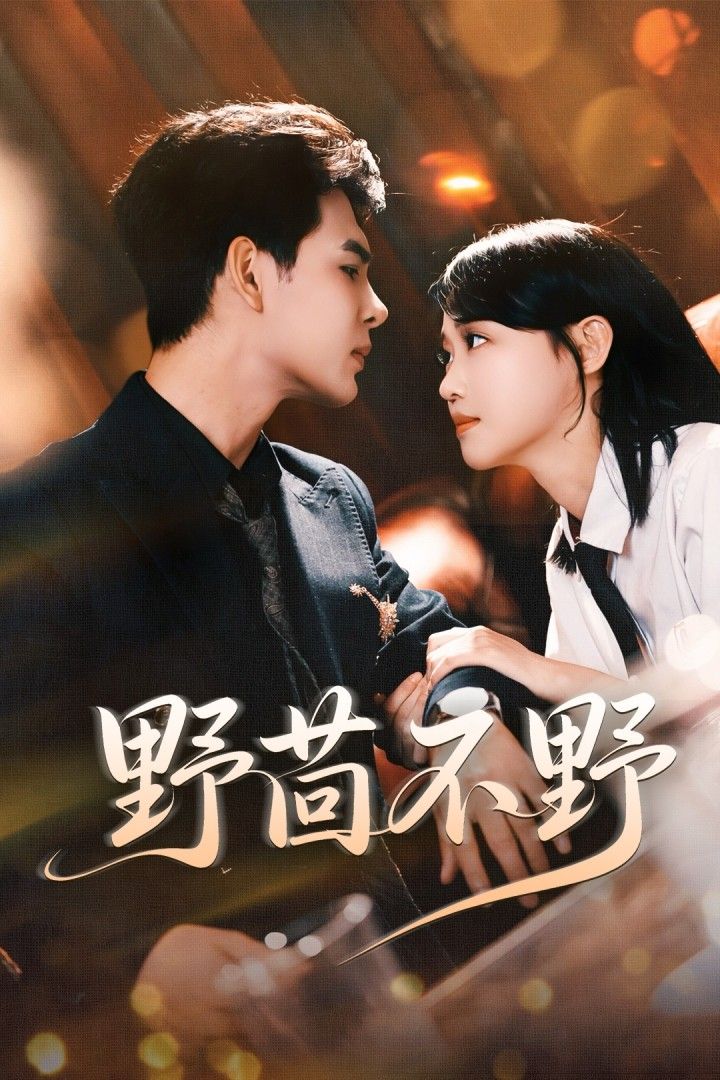 热门短剧野茴不野67集全集靳旺龚芳妮未删减超清免费在线观看 百度网盘夸克资源下载完整版 第1张 热门短剧野茴不野67集全集靳旺龚芳妮未删减超清免费在线观看 百度网盘夸克资源下载完整版 第1张