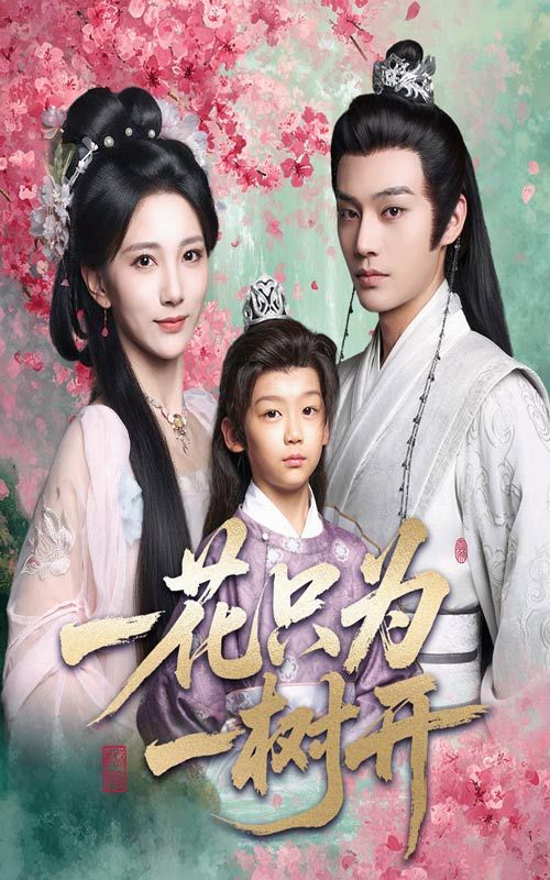 一花只为一树开54集全集柳甯高明君主演未删减版免费在线观看，百度网盘夸克网盘资源分享下载  第1张