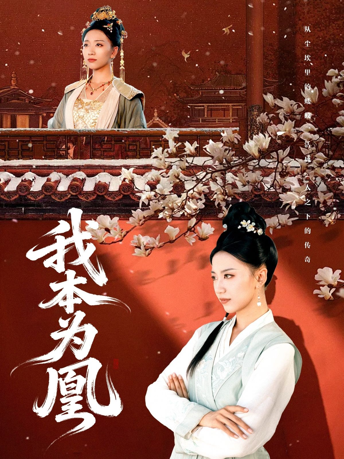 我本为凰傅宇航刘继徽主演82集全集未删减超清免费在线观看,百度网盘夸克网盘免费资源分享下载 第1张 我本为凰傅宇航刘继徽主演82集全集未删减超清免费在线观看,百度网盘夸克网盘免费资源分享下载 第1张