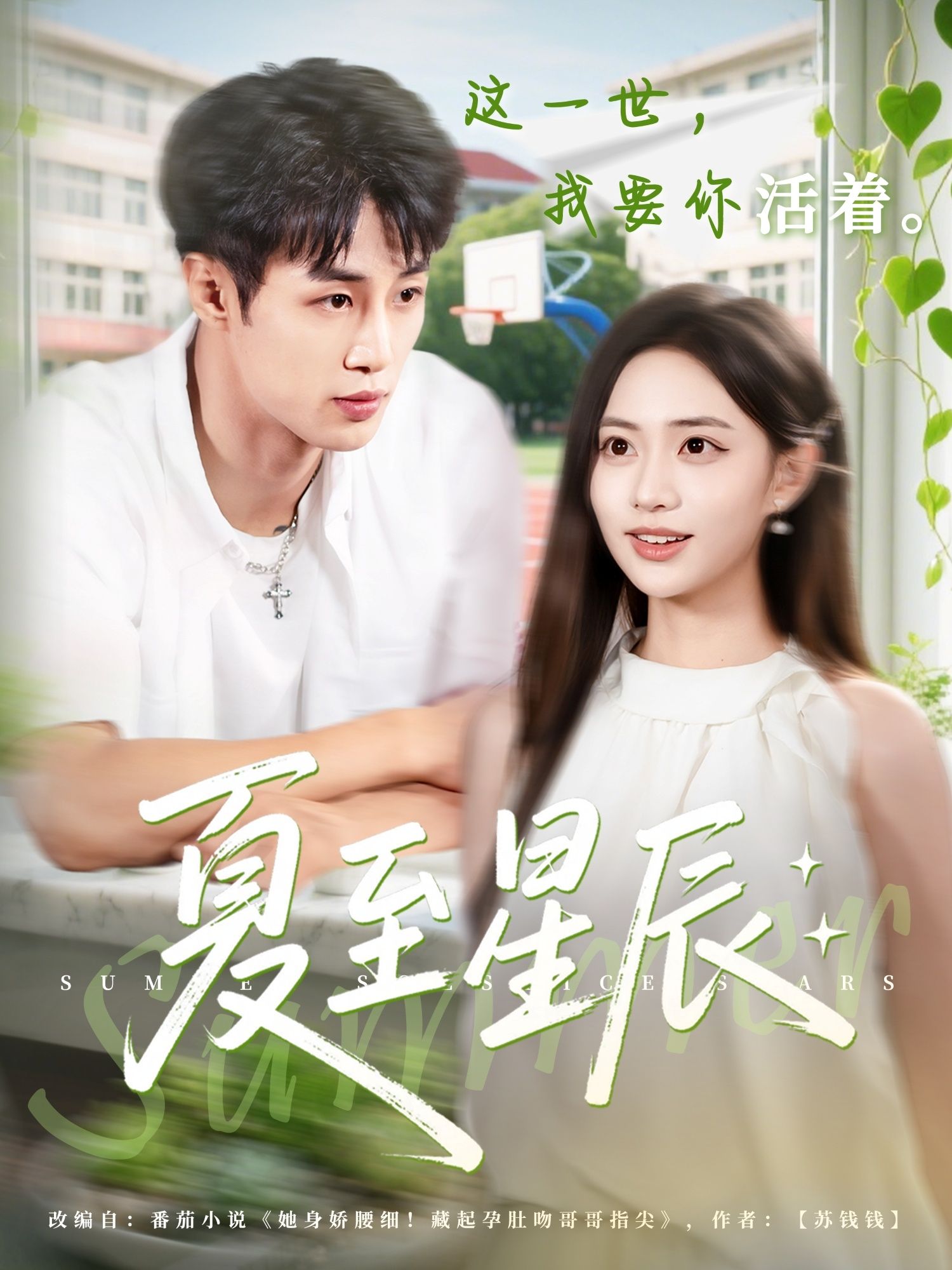 热门短剧夏至星辰54集全集完整版未删减在线播放免费观看，申琦黄也玶主演，百度网盘夸克网盘免费资源分享下载  第1张