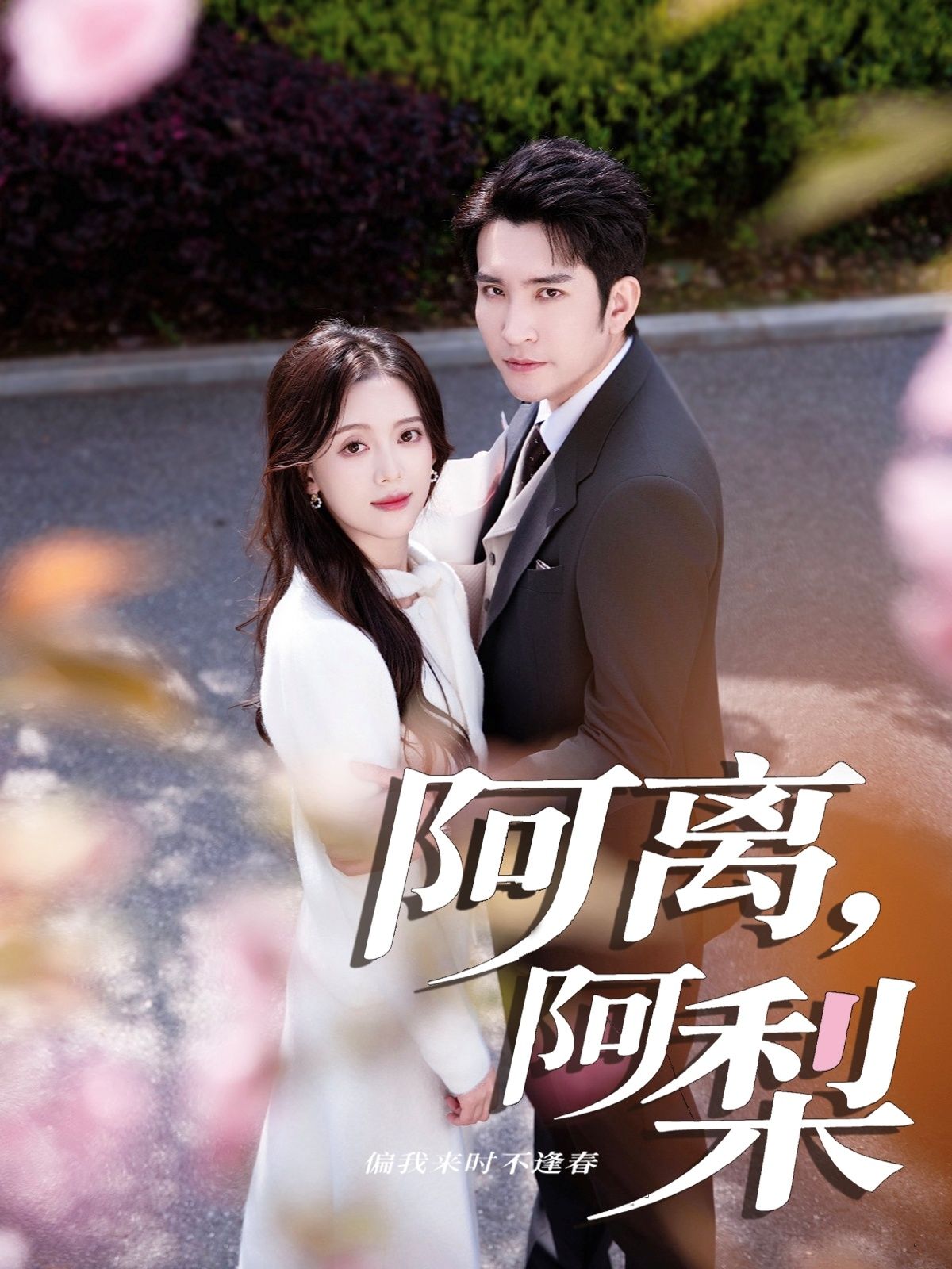 热门短剧阿离阿梨60集全集完整版未删减 王已歌＆唐敬主演 免费在线播放观看 百度网盘夸克网盘资源分享下载  第1张