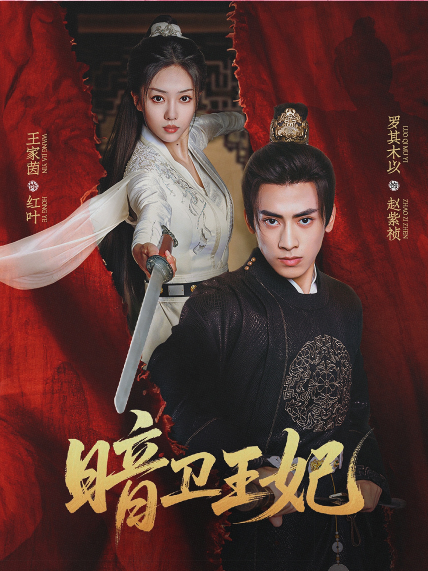 暗卫王妃高清短剧全集在线免费观看，完整版无障碍播放，全集更新，高清画质，免费在线观看，完整版全集，无障碍畅看  第1张