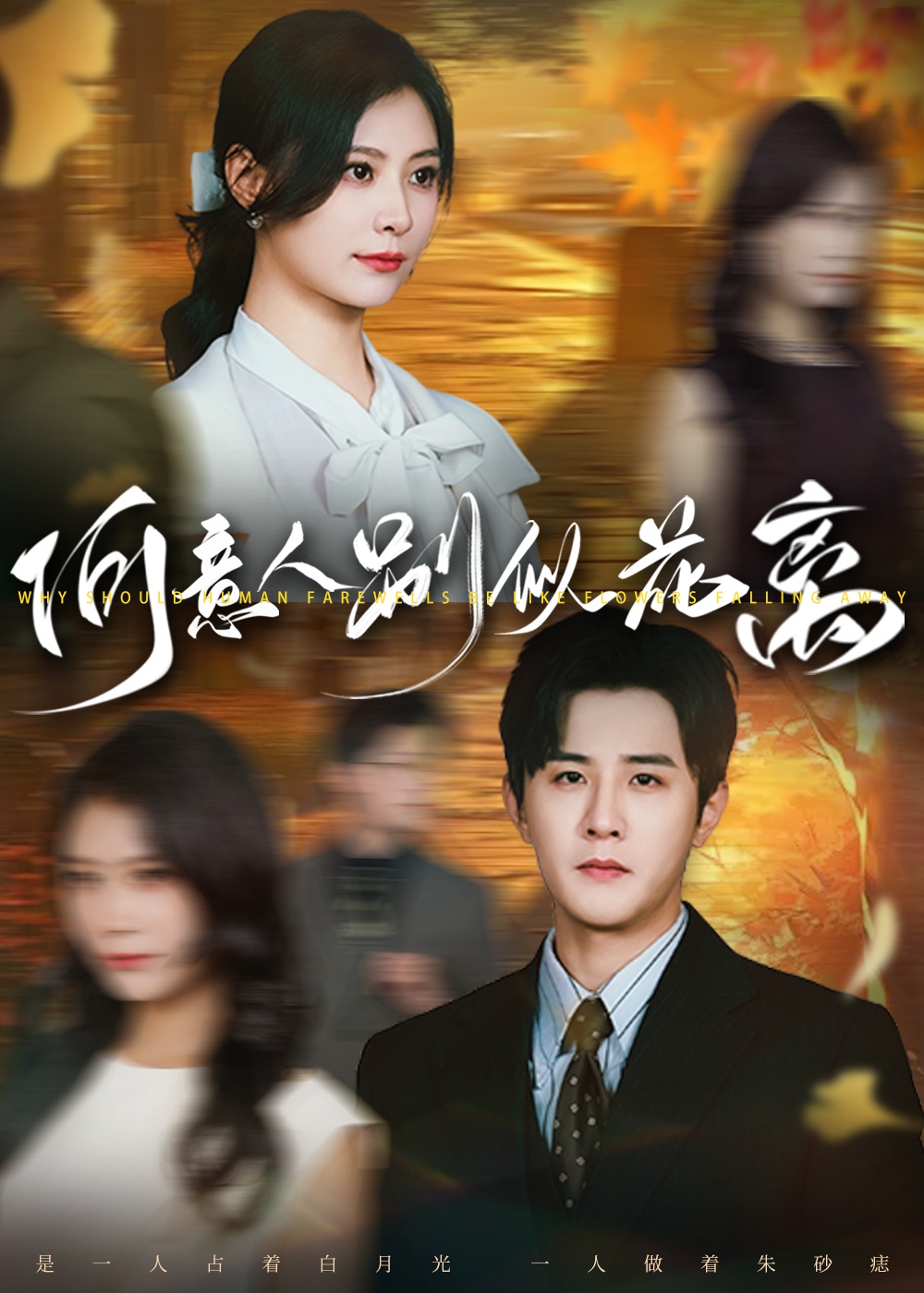 短剧何意人别似花离全集免费在线观看,高清画质,大结局震撼揭晓! 第1张 短剧何意人别似花离全集免费在线观看,高清画质,大结局震撼揭晓! 第1张