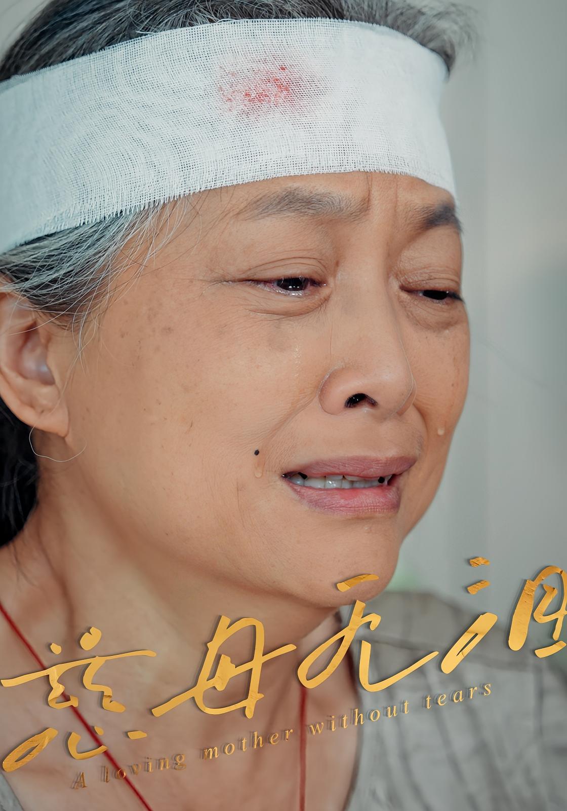 热门短剧慈母无泪30集全集未删减版免费在线观看,百度网盘夸克网盘资源下载分享,完整版播放资源未删减