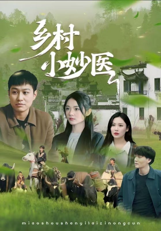 热门短剧乡村小妙医60集全集完整版未删减免费在线观看，百度网盘夸克网盘免费资源速存下载