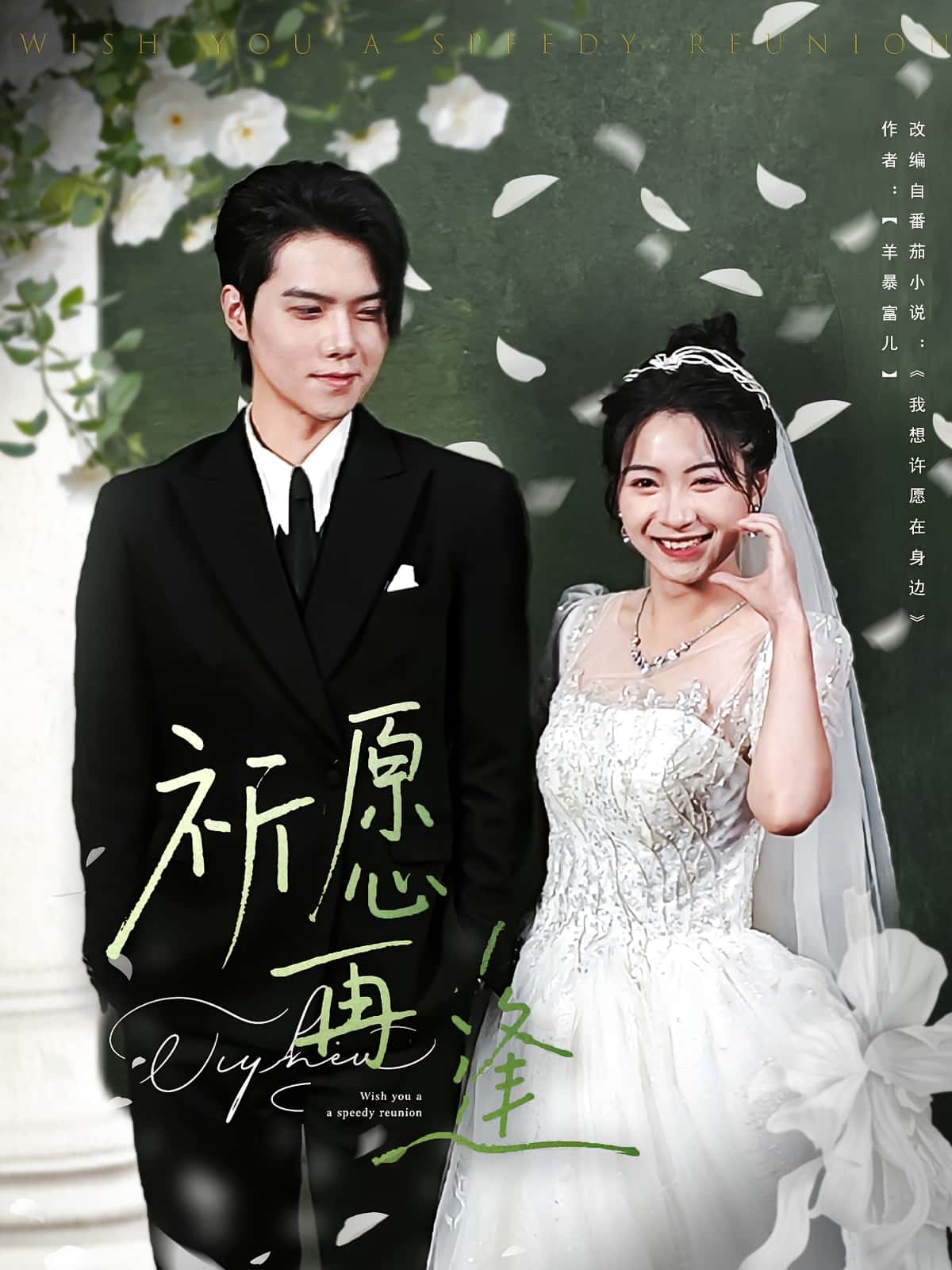 热门短剧祈愿再逢全集完整版未删减版，极速免费在线观看，百度网盘夸克网盘免费资源分享下载  第1张