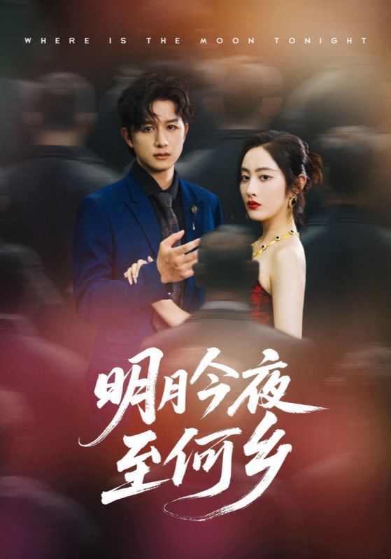 明月今夜至何乡（70集）全集完整版免费在线观看未删减版，百度网盘夸克网盘资源下载分享  第1张