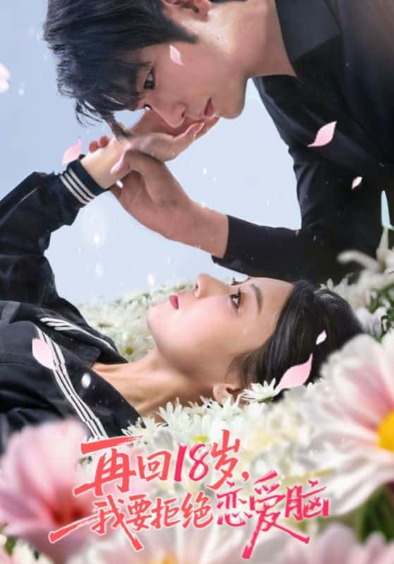 热门短剧再回18岁我要拒绝恋爱脑58集全集 苏畅王婧怡主演 免费稳定在线观看 未删减版 百度网盘夸克网盘资源分享下载  第1张