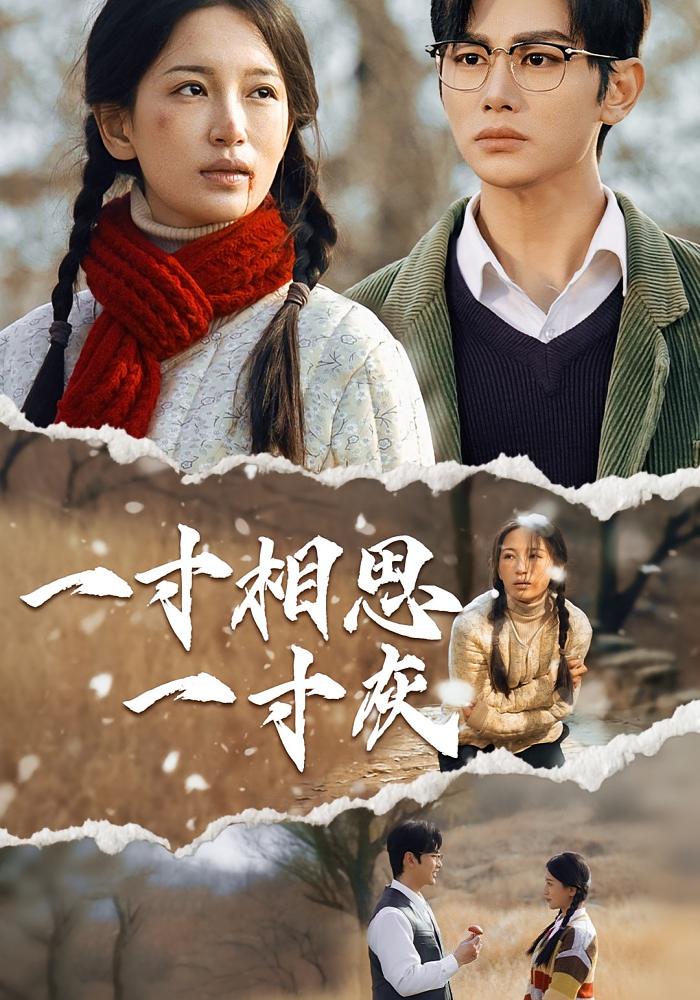 热门短剧一寸相思一寸灰43集全集完整版高清未删减免费在线观看,百度网盘夸克网盘资源分享下载