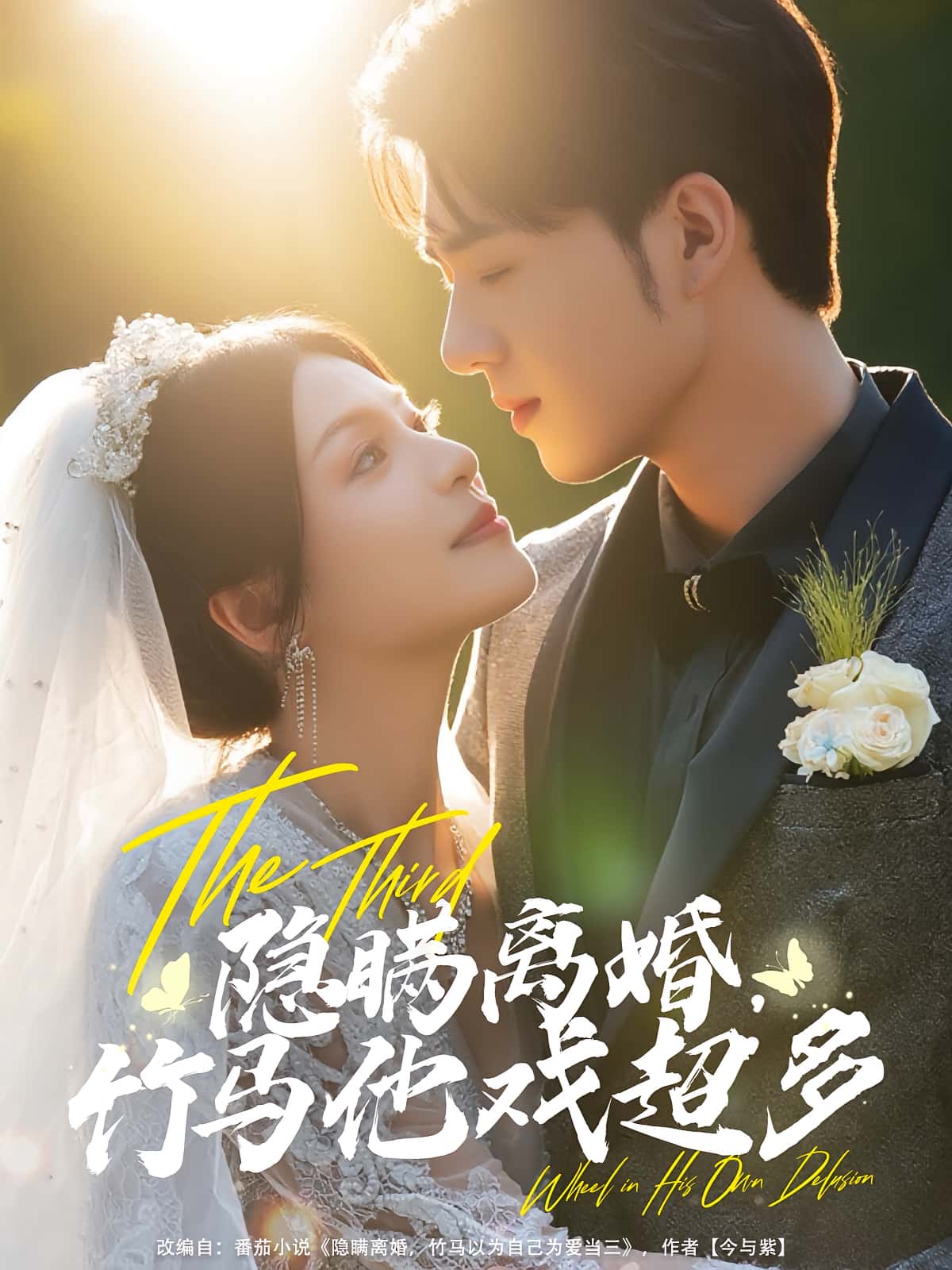 热门短剧隐瞒离婚竹马他戏超多（63集）郑铂瀚&魏嘉全集完整版更新完毕免费在线观看未删减版 百度网盘夸克网盘免费资源下载  第1张