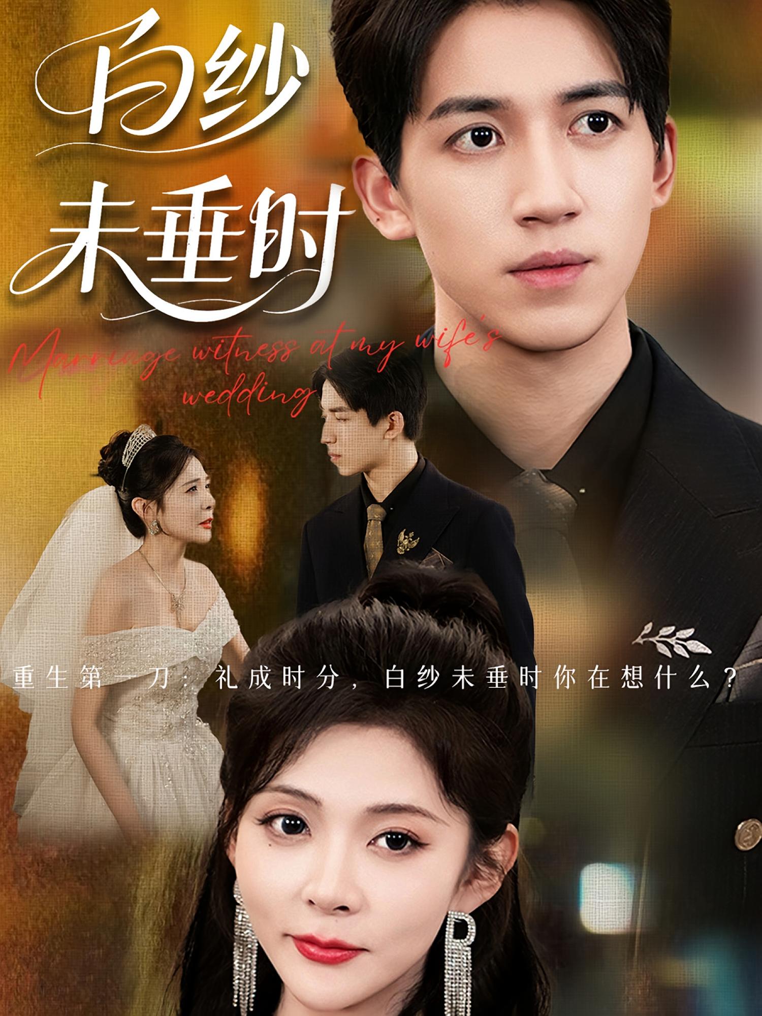 热门短剧老婆婚礼我当证婚人&白纱未垂时54集全集 钟煜霖陆碧霄主演 免费无水印在线观看 百度网盘夸克网盘资源分享下载  第1张