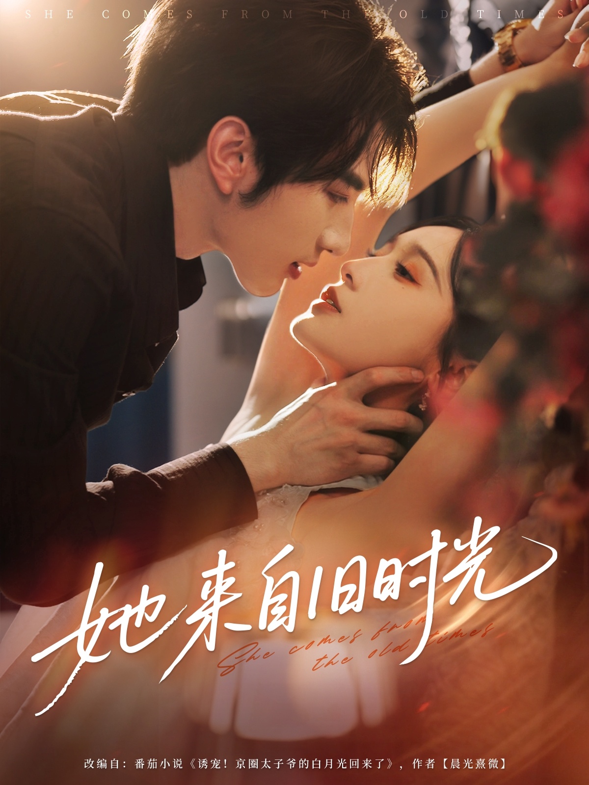 热门短剧她来自旧时光72集全集完整版未删减 谭圳豪甜九洛(林玲)免费在线观看 百度网盘夸克网盘资源分享下载  第1张