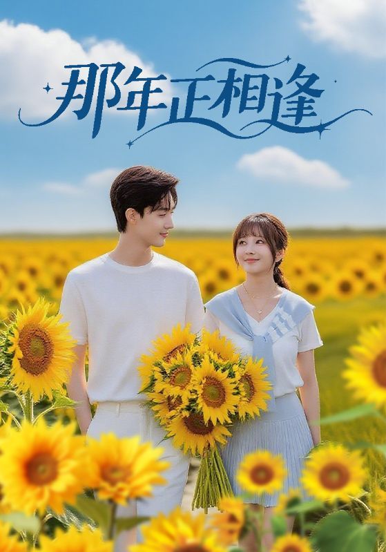 那年正相逢60集沈国洋鹿蓝予主演全集未删减版免费在线观看无需注册，百度网盘夸克网盘资源分享下载