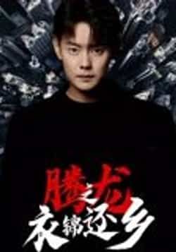 热门短剧腾龙之衣锦还乡（30集）邱浩轩主演 全集完整版未删减 免费在线观看播放 百度网盘夸克网盘资源分享下载 纯净无广告  第1张