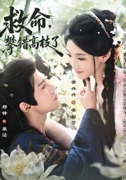 救命，攀错高枝了70集全集郑锋常丹丹主演未删减版免费在线观看，百度网盘夸克网盘资源秒存下载  第1张