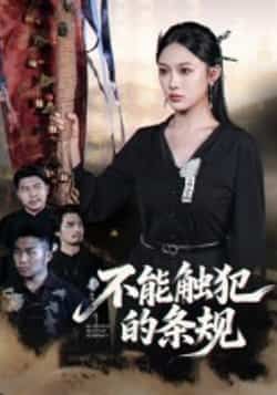不能触犯的条规50集全集张亚迪杨曦麟超清免费在线观看未删减版，百度网盘夸克网盘资源分享下载  第1张