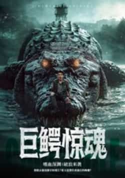 热门短剧巨鳄惊魂(85集)沈建全集完整版实时更新免费在线观看未删减版,百度网盘夸克网盘免费资源分享下载