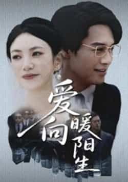 爱向暖阳生鄢子纶詹婷主演50集全集完整版高清免费在线观看未删减版百度网盘夸克网盘资源分享下载  第1张