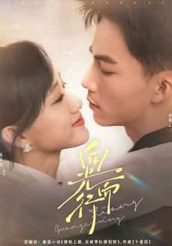 热门短剧向光而行82集全集完整版免费在线观看 未删减版 向阳 陈贞妮 百度网盘 夸克网盘资源下载  第1张