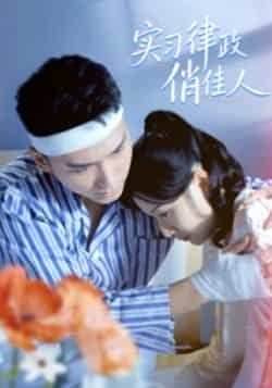 热门短剧实习律政俏佳人最新全集完整版免费在线观看未删减版，百度网盘夸克网盘免费资源分享下载  第1张