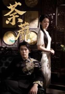 热门短剧荼蘼全集完整版高清免费在线观看未删减版，百度网盘夸克网盘免费资源分享下载  第1张