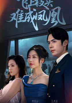 飞上枝头难成凤凰全集完整版未删减,极速免费在线观看,百度网盘夸克网盘免费资源分享下载 第1张 飞上枝头难成凤凰全集完整版未删减,极速免费在线观看,百度网盘夸克网盘免费资源分享下载 第1张