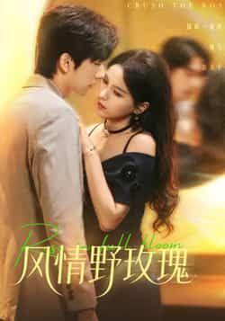 热门短剧风情野玫瑰全集完整版免费无广告在线观看,未删减版资源百度网盘夸克网盘免费分享下载 第1张 热门短剧风情野玫瑰全集完整版免费无广告在线观看,未删减版资源百度网盘夸克网盘免费分享下载 第1张