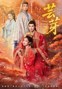 热门短剧芸芽全集完整版免费无需注册在线观看未删减版，百度网盘夸克网盘免费资源分享下载，热门短剧资源在线播放未删减全集免费看  第1张