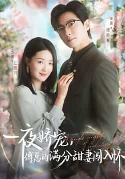 一夜娇宠，傅总的满分甜妻闯入怀全集完整版免费在线观看未删减版，百度网盘夸克网盘免费资源分享下载  第1张