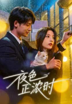 热门短剧夜色正浓时全集完整版免费在线观看，实时更新未删减版资源，百度网盘夸克网盘免费分享下载  第1张