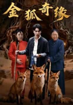 热门短剧金狐奇缘全集完整版免费无水印在线观看未删减版，百度网盘夸克网盘资源分享下载  第1张