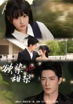 欲染甜梨全集完整版免费在线观看无卡顿，未删减版百度网盘夸克网盘资源下载分享  第1张