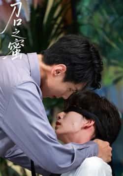 热门短剧刀口之蜜全集完整版免费播放在线观看未删减版,百度网盘夸克网盘免费资源分享下载 第1张 热门短剧刀口之蜜全集完整版免费播放在线观看未删减版,百度网盘夸克网盘免费资源分享下载 第1张