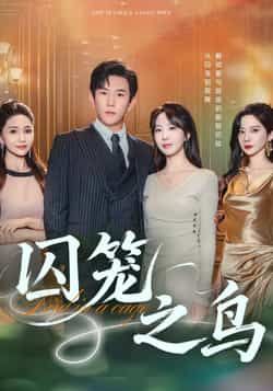 热门短剧《囚笼之鸟》 全集完整版免费在线观看播放未删减版资源,短剧百度网盘夸克网盘免费分享资源下载